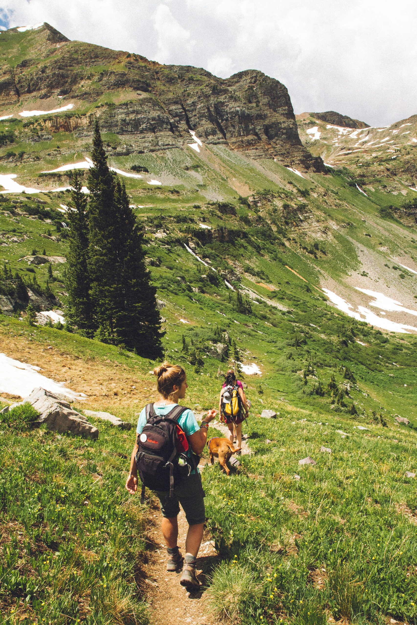 Two hikers with backpacks and a dog walking along a narrow mountain trail, surrounded by green slopes, patches of snow, and rocky cliffs.